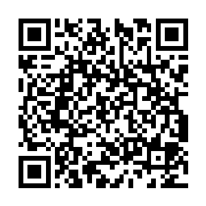 只感觉体内那一层束缚自身修为的枷锁顷刻间破碎二维码生成