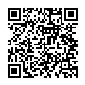 只把这十二幢已经改造完的vip贵宾房投入经营使用二维码生成