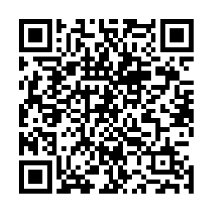 只是一个供进入蛮荒古域战斗的剑者们临时居住休息的营地二维码生成