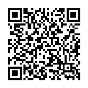 只是不知道这丝绿色能量能不能跟随自己的养气决带进主神空间二维码生成
