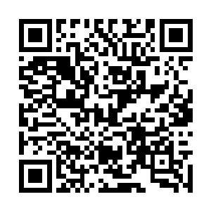 只是为凌云潇洒飘逸的身姿感到由衷的崇拜和爱慕二维码生成