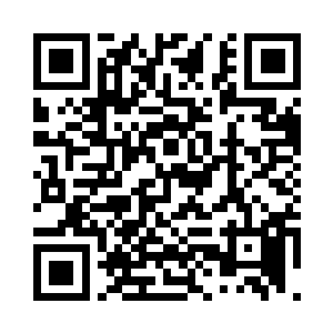 只是为密公寻回两个走散了的野孩子二维码生成