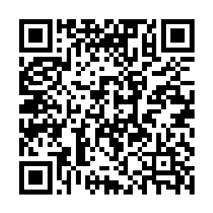 只是五种属性灵根修士搭配就能够爆发出巨大的威能二维码生成