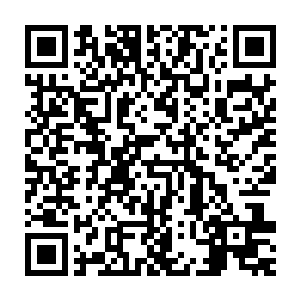 只是他们主子那种怪癖……能分辩得清楚人家小姑娘长什么模样么二维码生成