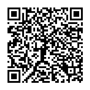 只是他们都没有想到怀有身孕的王妃竟然在那一夜由入世剑转出世剑二维码生成