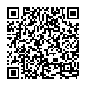 只是叶璃却总是不由自主的想起那也在桃林里那哀怨而悲切的声音二维码生成