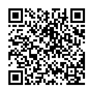只是因为她受到师傅的青睐将会接任师傅的掌门人之位二维码生成