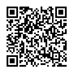 只是在去年的新年……那时候是我和大皇子的决战二维码生成