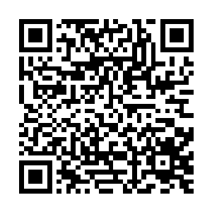 只是她觉得自家小姐这么摸人家的脸颊的动作实在是太过……二维码生成