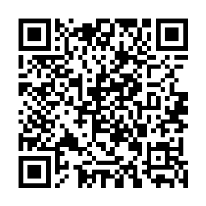 只是当初看到这副八龙图的人都被那几条龙的神采所吸引二维码生成