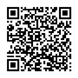 只是想要确保一下自己女朋友的安全――天地良心二维码生成