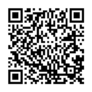 只是我不愿意让米国的国土上再继续上演发生在我们国家的悲剧二维码生成