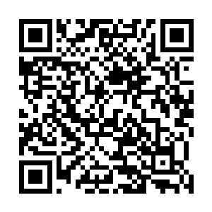 只是握住他的手便将那一份属于夜染的爱清晰的传达给他二维码生成