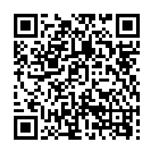 只是有意无意地让乌宸去协调学生和矮人们的关系二维码生成