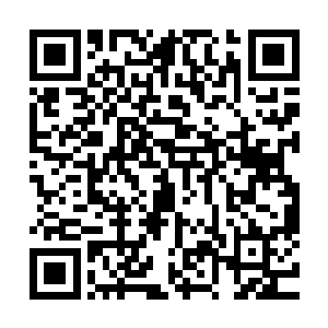 只是此刻的林辰周围的高级炼丹材料已经用去了近乎大半还多二维码生成