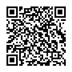 只是用着瓷器装了好些青果子放在屋角桌下等等地方二维码生成