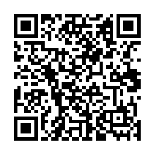 只是站在了离着车子十几米远处的一个花圃边上坐了下来二维码生成