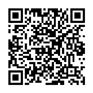 只是简单用冬青树枝和一些零碎的装饰点缀了一下二维码生成