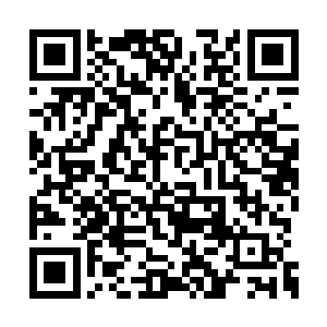 只是粉黛被人从里面请出来的时候脸色不是很好二维码生成
