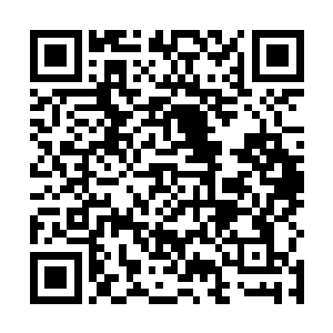 只是让精神念力能够更加有效的蜕变成元神之力的秘法二维码生成