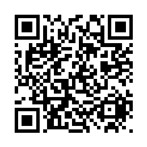 只是这世间从来只会存在一朵往生花二维码生成