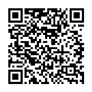 只是这个过客在她生命留下的痕迹稍微深一些而已二维码生成