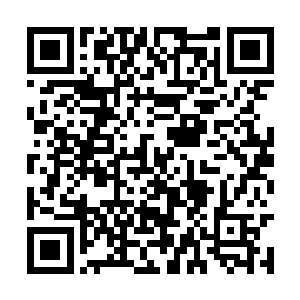 只是这种东西只能唤醒生灵最强大的那方面的力量二维码生成