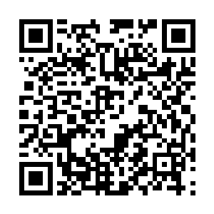 只是那个人流出来的血里面确实夹带了大量的蛊虫二维码生成