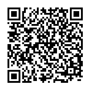 只是银大爷心里的小九九在看到季疏云那似笑非笑的目光时就焉巴了下来二维码生成
