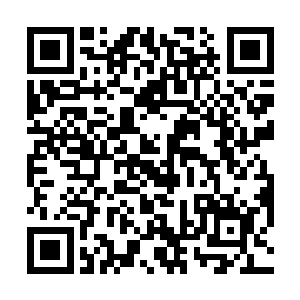 只有刚才那只雕像般有一半沉入湖底的唯一一只漆黑恶鬼~二维码生成