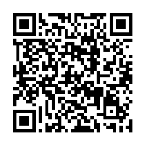 只有化神期及以上的境界的修士才能知道这战况如何了二维码生成