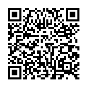 只有后来加入的那些龙家的人仿佛没事的人一般继续的攻击者二维码生成