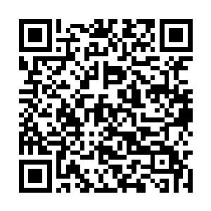 只有天生没有角或者天生没有元晶的婴孩才叫天残二维码生成