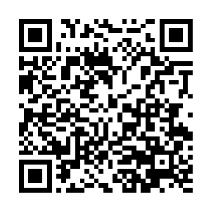 只有夫人到了考核终结点具体结合当地的地形和卑职勾通二维码生成