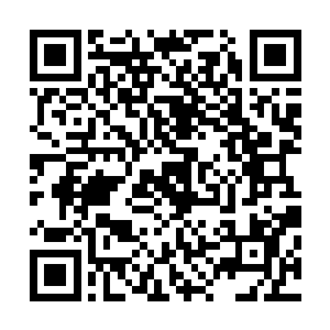 只有完成战巡指挥官的任务就可以真正对那些NPC下达指令了二维码生成