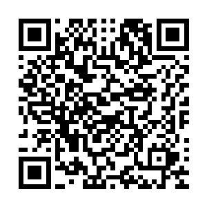 只有暗夜主宰强化之后的夜色追踪才有一线可能锁死这个女人二维码生成
