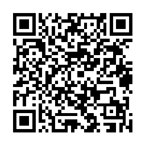 只有最后一道劫雷的能量才是用来恢复伤势和提升修为的二维码生成