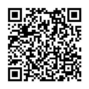 只有有灵根的人才有可能踏入到修真的门槛之中二维码生成