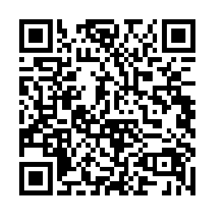 只有极为少数的七阶魔核会在一些大型拍卖会中出现二维码生成