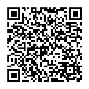 只有欧阳修那个腐儒手持一杆木棍站在城门洞里帮助东京一百余万人守卫城门二维码生成