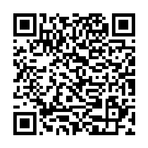 只有欲盖弥彰的人才会做出这样的蠢事――我也不笨二维码生成