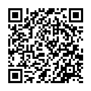 只有血妖姬与被控魂印与血妖姬绑在一起的宠物们能看见的二维码生成