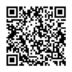 只有通过无数次的战斗才能够体会出战斗的真谛二维码生成