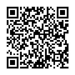 只有那些平日里好勇斗狠的地痞流氓才会在这种时候动手二维码生成
