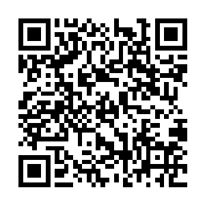 只比拳脚算什么……若是想打不如便分出个生死来二维码生成