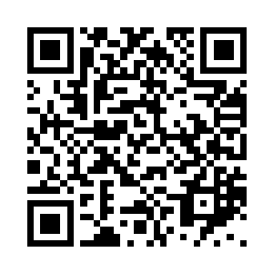 只直追因结界被破而遭受反噬的蕊儿二维码生成