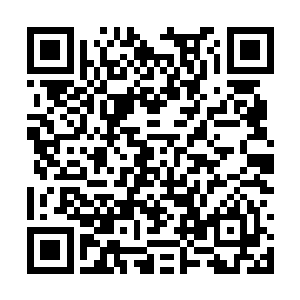 只知道第四次世界大战一定是用石头和棍棒来进行二维码生成
