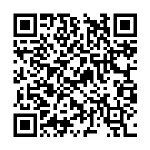 只知道那个家伙手中有着一把威力极为夸张的武器二维码生成