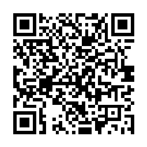 只能在云府外围活动的侍女们就被允许放到了内府之中二维码生成