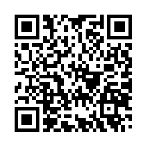 只能拼命的向那土黄色乌龟壳中传入真元二维码生成